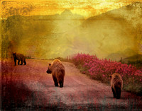 On A Stroll