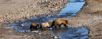 Follow The Leader