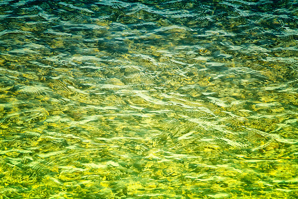 A Splash to Refresh