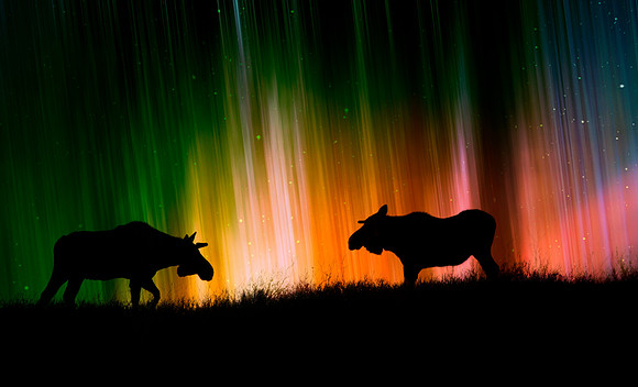 Northern Lights